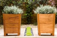 Two square wooden containers planted with Convolvulus cneorum placed either side of rill with Mind your own business - Soleirolia soleirolii. Design Charlotte Rowe