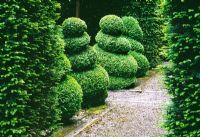 Taxus - Yew hedges and Buxus - Box spirals in Ridler's garden, Swansea, Wales. Design Tony Ridler
