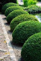 Buxus - Box topiary balls beside a formal pond at Wollerton Old Hall garden, Shropshire