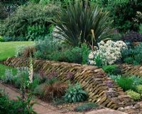 Drystone walls at the back of the house with Crambe maritima, Phormium, Stachys, Alliums and Potentillas
