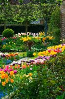 Spring border with Tulips - Tulipa in the sunken garden at Chenies manor house, Buckinghamshire