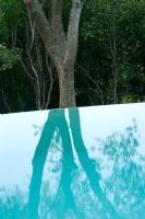 View across swimming pool towards olive tree in Gina Price's Corfu garden