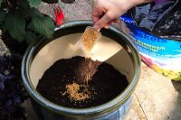 Adding slow-release granulated plant food to compost in glazed pot 