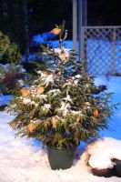Fairy lights on a Christmas tree in a snow covered garden 
