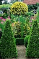 Topiary garden with Buxus and Ilex - Old Vicarage, East Ruston, Norfolk 
