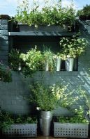 Herbs in galvanised containers by kitchen