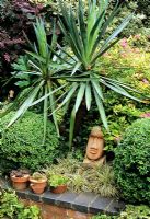 Raised bed in a low maintenance front garden with a terracotta Easter Island head as the focal point, framed by Buxus balls. Yucca gloriosa rises in front of Spiraea 'Goldflame'. Pans of Sempervivum decorate the wall coping.