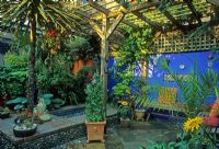 Mediterranean style courtyard garden with raised pool and blue painted wall. Loggia, Canopy, Phoenix palm and Cordyline - Brighton 