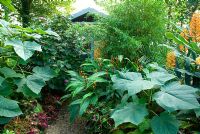 Exotic style garden with path through tropical borders leading to summerhouse.  Plants including Hedychiums - ginger lilies bamboos, Coleus and Cleodronden bungei