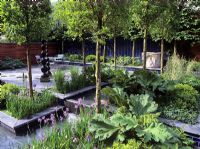 Extensive planting under Quercus standars and pleached Tilia in a small urban garden - Cartier Ltd, Chelsea FS 2000