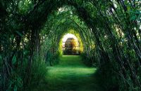 Willow Tunnel by Lucy Redman