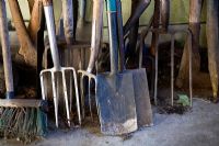 Garden tools in a potting shed, broom, forks and spades