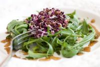 Radish Sango sprouting seeds on white plate with Rocket Salad leaves