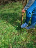 Lawn aeration using a fork
