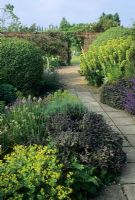 Border containing Salvia, Alchemilla mollis and Euphorbia charcias beside paved path in walled garden. Path leads to arch in wall - Denmans, Fontwell, Sussex