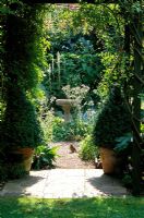 View through Jasminum covered archway with pots planted with pyramid shaped Buxus - Box to silver and white garden, with birdbath at centre. 