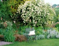 A place to sit - Wooden chair with cushion on the lawn with Rosa 'Rambling Rector' in full flower behind - The White House, Sussex

