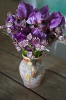 Old terracotta vase containing freshly cut bearded Iris with Astrantia 'Rosensinfonie'-Iris displaying ribbed purple standards with mottled reddy brown falls and black marks 