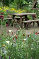 Cirsium rivulare 'Atropurpureum' and Trifolium incarnata - The Fetzer Sustainable Winery Garden - Chelsea 2007 