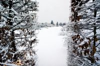 Herbaceous border under snow, Battleston Hill, Wisley