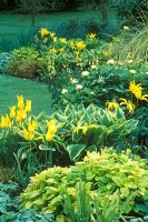 Melissa officinalis 'Aurea', Tulipa 'West Point', Hosta 'Spinners', Paeonia mlokosewitschii, Thermopsis lanceolata, Cortaderia selloana 'Gold Band' - The Yellow Border at Glen Chantry 
