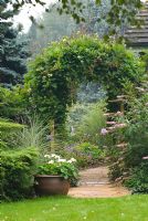 View along paved pathway through Wooden arch covered with Cobaea scandens with Buddleja and Miscanthus sinensis 'Morning Light' planted nearby and white flowered Pelargonium in a container