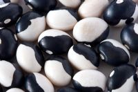 'Ying Yang' organic beans from the Bean and Herb Nursery, Wiltshire