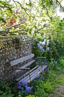 Old garden bench in front of knapped flint wall. Self-seeded spring flowers growing through gravel path.