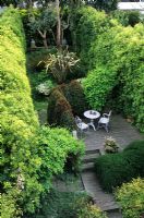 Small town garden with high Pittosporum hedges and raised seating area on wooden deck - Carl St, San Francisco 