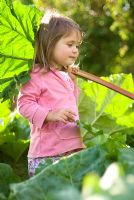 Little girl in a Rhubarb field holding a piece of rhubarb