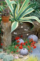 Agave in raised bed retained by railway sleepers above Helianthemum and ceramic sea urchins by Dennis Fairweather - B and Q courtyard garden, Chelsea 1997