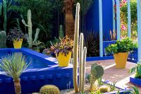 Courtyard surrounded by cacti and yellow terracotta pots in the moroccan style Yves St. Laurent Garden designed by Madison Cox, Chelsea 97