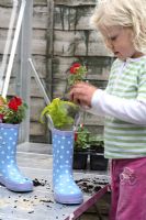 Step 3 - Water your bedding plants well before planting. Remove them from their pots, and position two or three in each of the wellies. Fill in around the plants with more compost mixed with some slow-release fertilizer granules and some water retaining gel. Make sure that you have a gap between the top of the compost and the top of the boots of at least 2.5cm (1in) to allow space for watering.