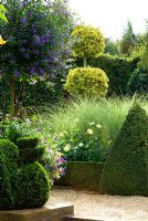 View of formal garden with topiary and knot beds planted with Dahlia 'Claire de Lune' and variegated Miscanthus - East Ruston Old Vicarage, Norfolk