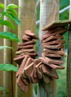 Clay tiles strung together to make hanging sculpture on thick Palisade fence