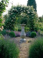 Stone sundial in rose garden with Rosa 'Felicite' et Perpetue' on arch and Lavandula 'Hidcote', Nepeta and Alliums behind and Buxus balls on gravel circle