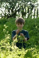 Young boy studying the flowers of Anthriscus sylvestris - Cow Parsley, May