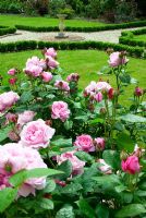 Rosa 'Eglantyne' in new small formal garden with sundial at Fiona Raymonds in Suffolk