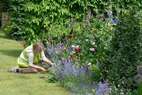 Putting finishing touches to 'The Chris Beardshaw Garden', RHS Chelsea 2007