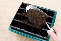 Planting up 'Rootrainer' with seeds - Step 3
