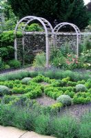 Herb knot Garden with Lavandula - Lavender and Buxus - Box hedges, Trellis Arches in background