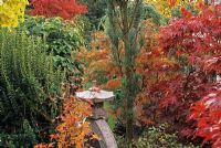 Acer palmatum 'Nicholsonii' in front right with oriental ornament 