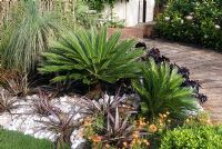 Cycas and Astelia in dry bed with white pebble mulch - Hampton Court 2007