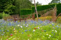 A meadow of flowering annuals with a pirate ship created from woven willow in the Pirates and Mermaids Garden at The RHS Gardens Harlow Carr