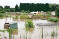 Flooded Allotments