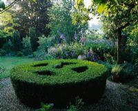 Box topiary circle, backed by blue border with cretan pot and Delphiniums