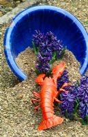 Blue container on sand with lobster and Hyacinth 'Delft Blue' 