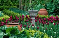 Sundial, teracotta rhubarb forcing pots and Tulipa 'Pink Impression'