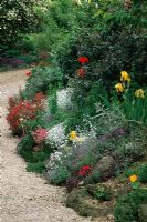 Launa Slatter's garden, Oxon - Border beside drive with Tanecetum, yellow Iris, Poppies, Helianthemum, Aubretia and Cerastium Tomentosum