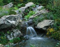 Waterfall over slate boulders with meadow planting